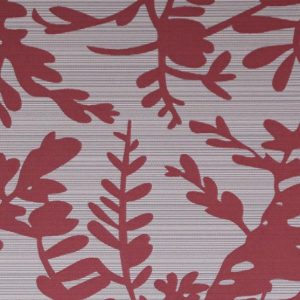 Cardinal