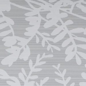 Eagle Grey